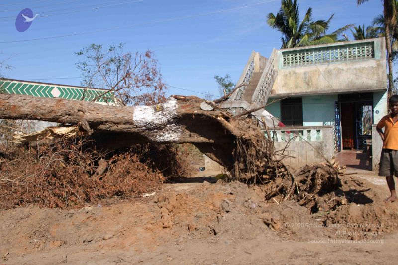 File:20120106 Photo 1236 1r2ikJkJ4H4rn-2ZyHT2RATq-1luUVThf.JPG