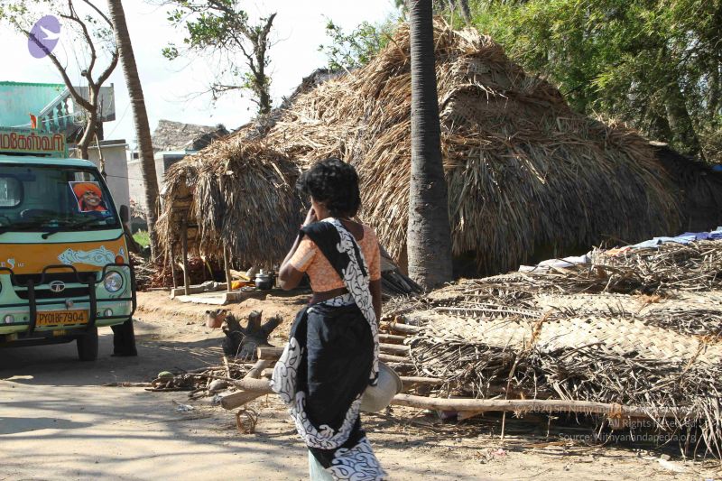 File:20120106 Photo 1239 1MpYMjIvKMrVj9QQFGJwpwQbHWZNZlMy4.JPG