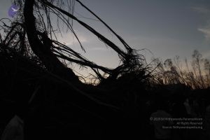 20120106 Photo 1239 1yXVIa2Lfjr7VwnYC6oYK50egF3VAvZ o.JPG