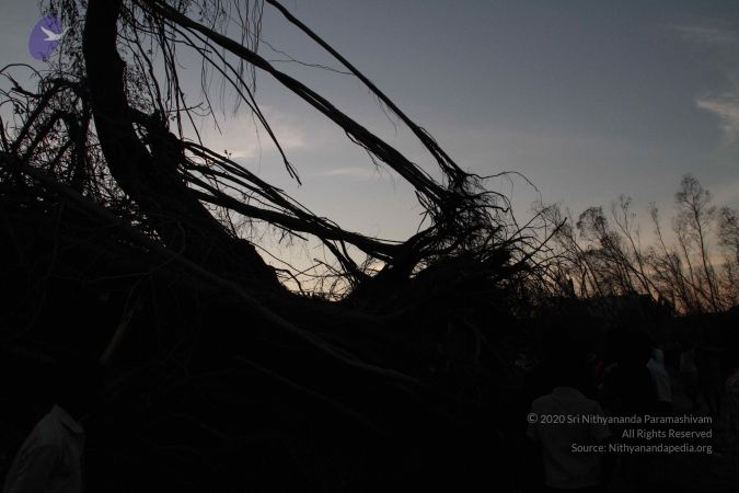 20120106 Photo 1239 1yXVIa2Lfjr7VwnYC6oYK50egF3VAvZ o.JPG