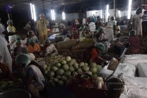 20120106 Photo 1405 1a H53jpzEmoUOron3RT3QMNoazlyGWyo.JPG