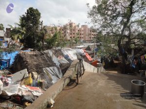 20120106 Photo 1426 12AaQHRwIuuKkGmtWp231pxEeCP30uyil.JPG