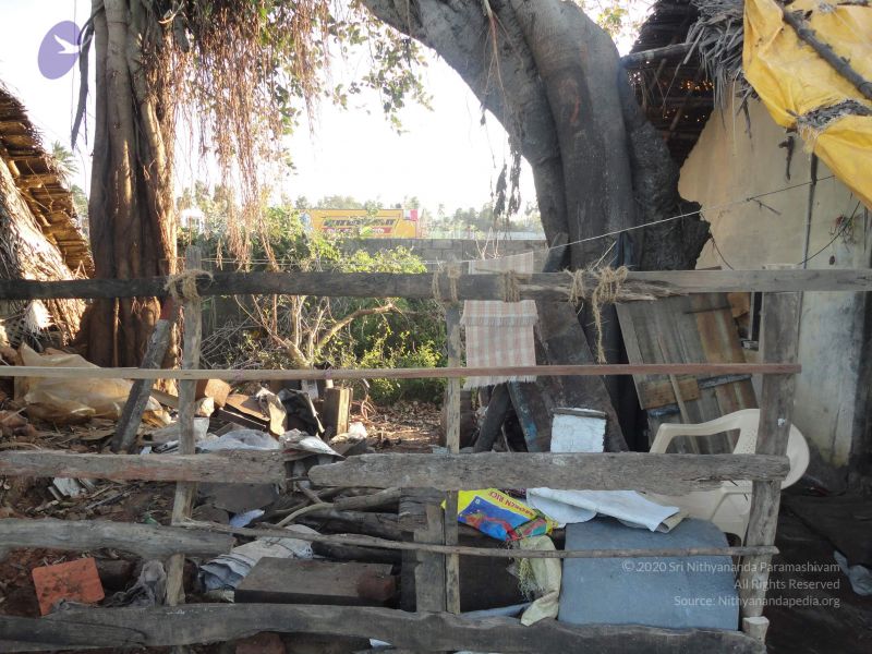 File:20120106 Photo 1453 15tZt8BxmEpjZ7oOczSen hyX6nWaqu7V.JPG