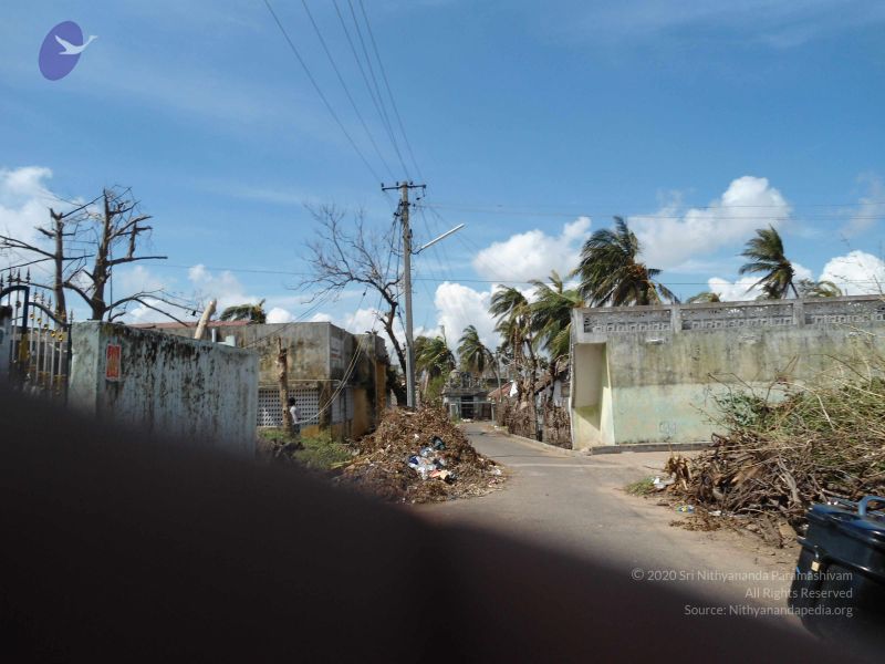 File:20120106 Photo 1693 16vwoCtTnFpCVhr1mhybXPSrJMrGy0k6Y.JPG