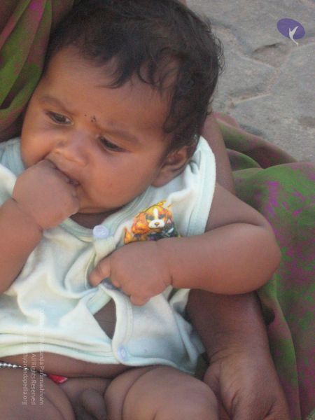 File:20120106 Photo 1832 110kkcIvKwP6lm-Zf-QSUzQgMrxsmX-b3.JPG