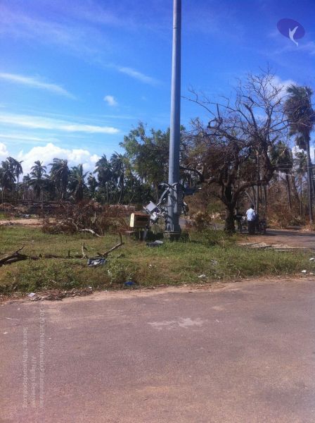 File:20120106 Photo 1886 1IWv-83GwZi4lrsya0eQjHsBKHEr20ecO.JPG