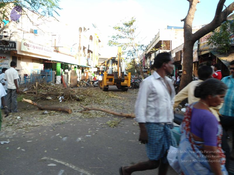 File:20120106 Photo 1928 18sW oFzOGthc2wrf7iUPm9d DTq06J 5.JPG