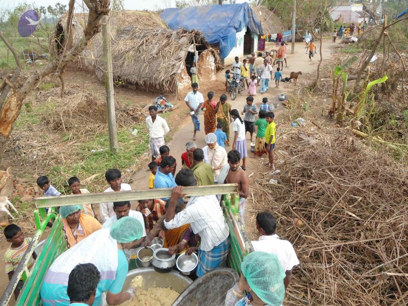 File:20120106 Photo 2048 1XDlgHTrt6UOymKOF23SSqmwUx4TEhRaO.JPG