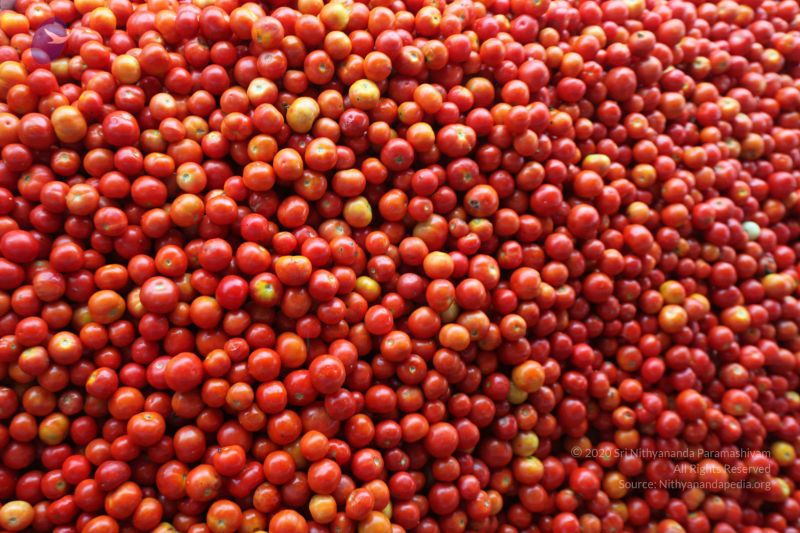 File:20120106 Photo 2293 1hqEhkOp0KljCiE2o1tEI2rqFOCh3HWq5.JPG