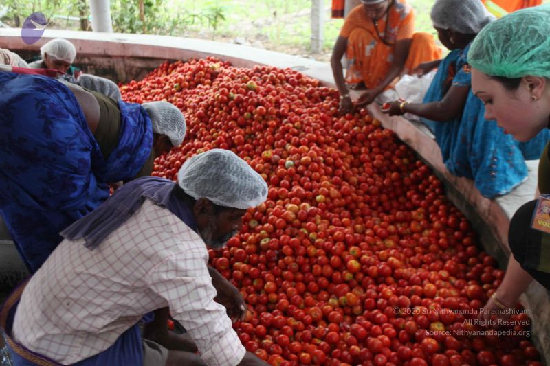 File:20120106 Photo 2296 1FPOsFJ5dFqykAFAJPzxjCDntXqLMs16G.JPG