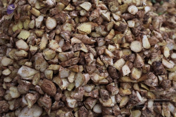 20120106 Photo 2304 15q5lNlhESuZv2s3EugYmwu1Ps3lw9Ejd.JPG