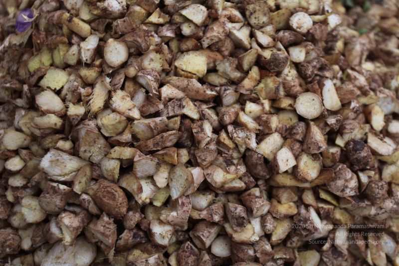 File:20120106 Photo 2304 15q5lNlhESuZv2s3EugYmwu1Ps3lw9Ejd.JPG