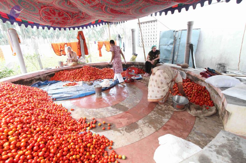 File:20120106 Photo 2388 157VFMIjz2dKpIHAMQKeBmG1AHPksriaj.JPG