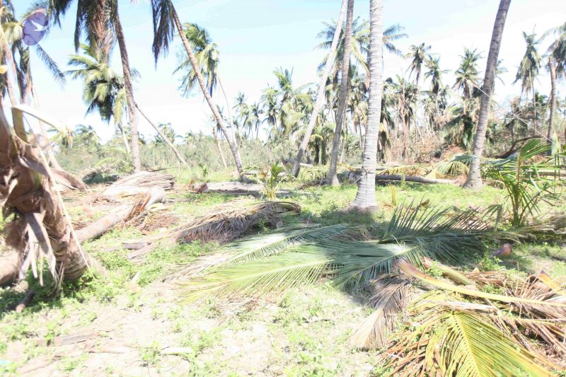 File:20120106 Photo 2621 1yhBJCKLYGEFprk-2Fo3b4CH4Npb Ub9p.JPG