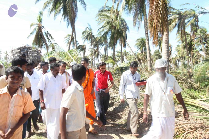 File:20120106 Photo 2630 1S4f1cVGrAv Uk2UT6M1U601vfOsJaoe6.JPG