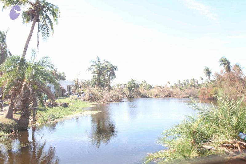 File:20120106 Photo 2653 1pIKL5yxpGnes S5K2B9TDWFjaEcFzxw2.JPG