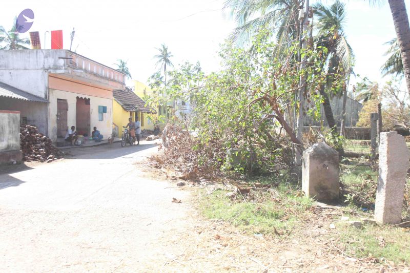 File:20120106 Photo 2657 1e-2s9B4qLoHXUNUlqk8m6TFrz9qFqfAQ.JPG