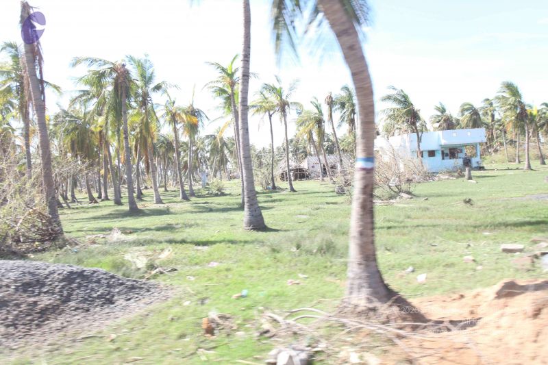 File:20120106 Photo 2664 1CaLrCUDDdCJf2hs3aSEz4BLIjF-ERWIT.JPG