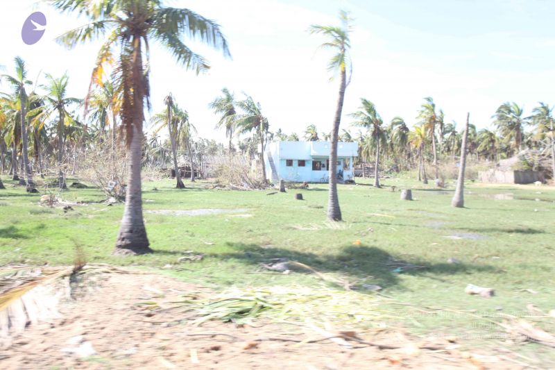 File:20120106 Photo 2665 1ISOyxOUKcA7ioZAgvO4fAbh9KR4TpwO9.JPG