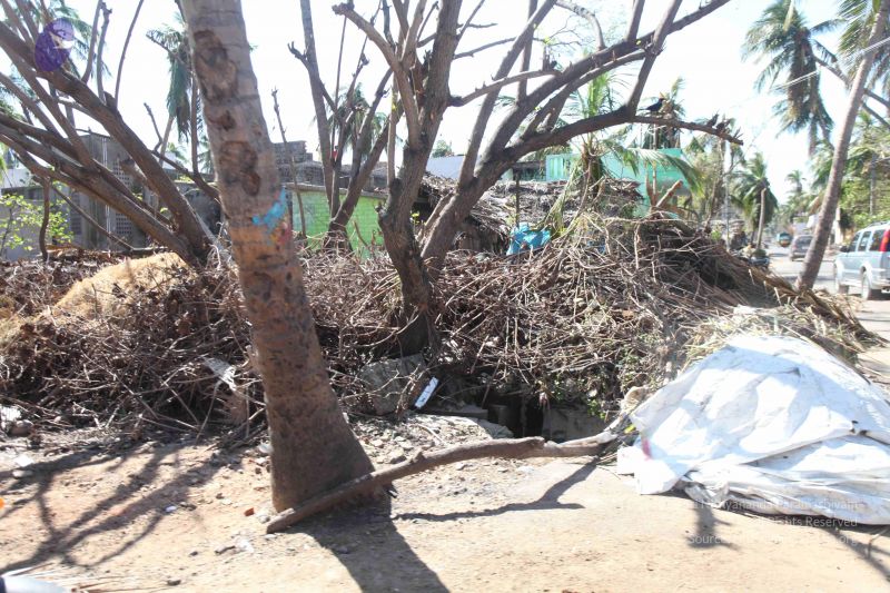 File:20120106 Photo 2667 1iWkzTOeIe6u4Bk7WUuQu1ZECl9bqRycp.JPG