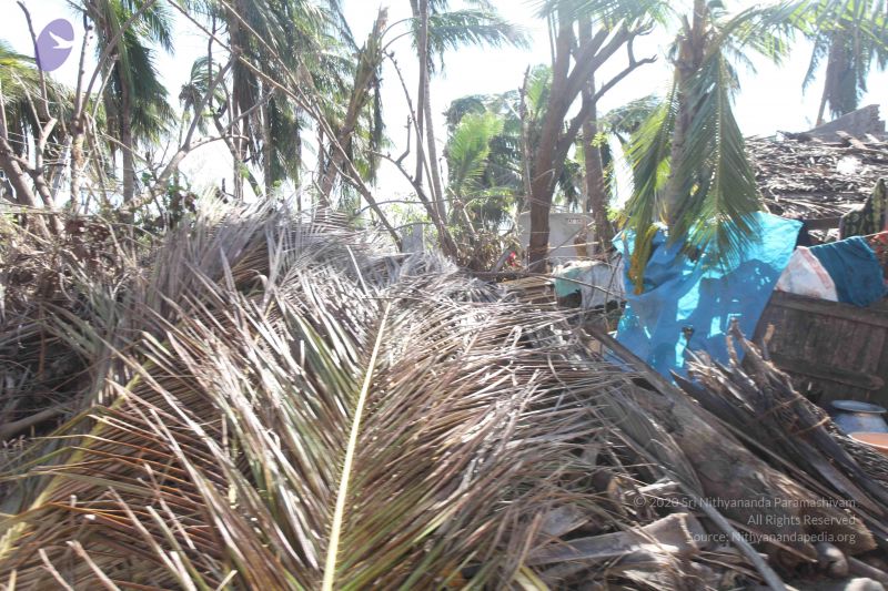 File:20120106 Photo 2669 1KOzh6N-Qjd6Sz1ixGpD4n6C4SBZn6Ejb.JPG