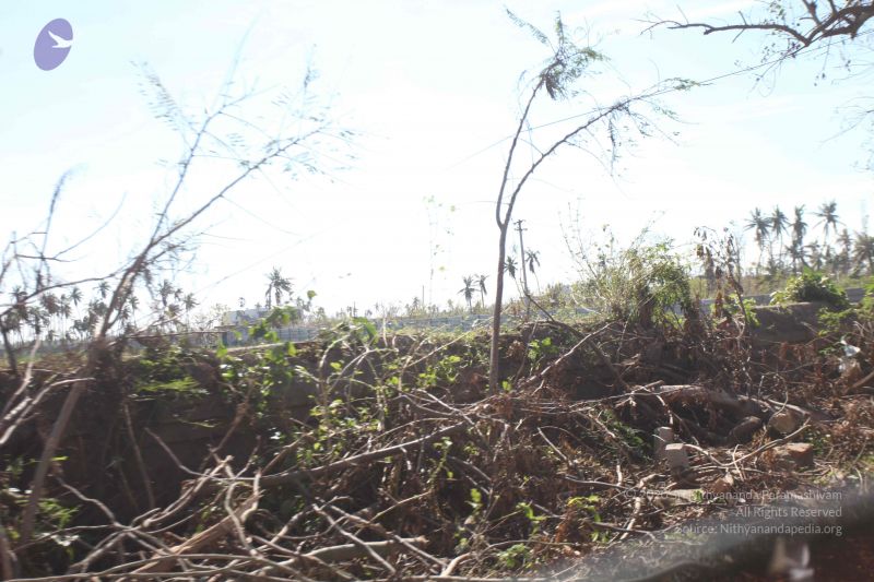 File:20120106 Photo 2678 17Z3bM81HsdT-8EcfXmQ1CYOO83chzDR8.JPG