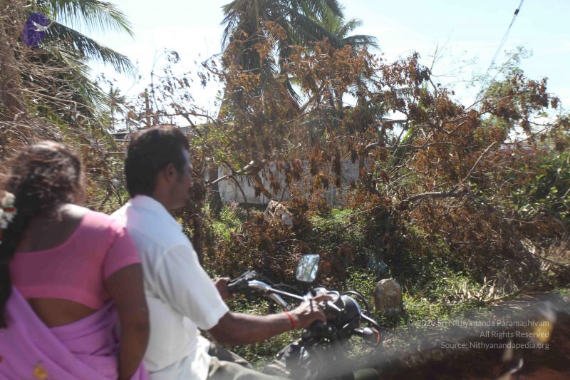 File:20120106 Photo 2686 1puxJmj8ytOeqyF1TaWmIGFSfZpyN7F5W.JPG