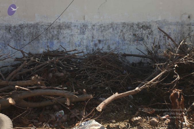 20120106 Photo 2689 1eG ljmW4jviexVl21Sb v0h39vvyYnU2.JPG