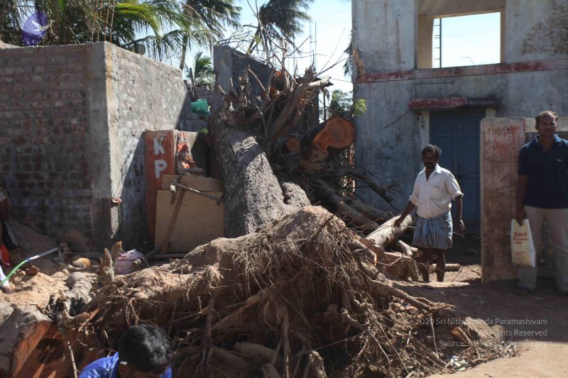 File:20120106 Photo 2693 115RCl7CwS JV69FNKRFG6mBttc2Q U k.JPG