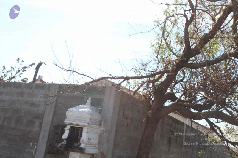 File:20120106 Photo 2698 1htTw6Lks2mC4yPO8Fz3X49tFgXR Xlx-.JPG