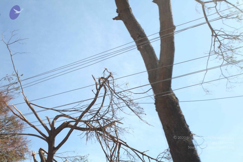 File:20120106 Photo 2704 180zgmruf-xvUXt4EBuGb6 BJhTjEoCA4.JPG