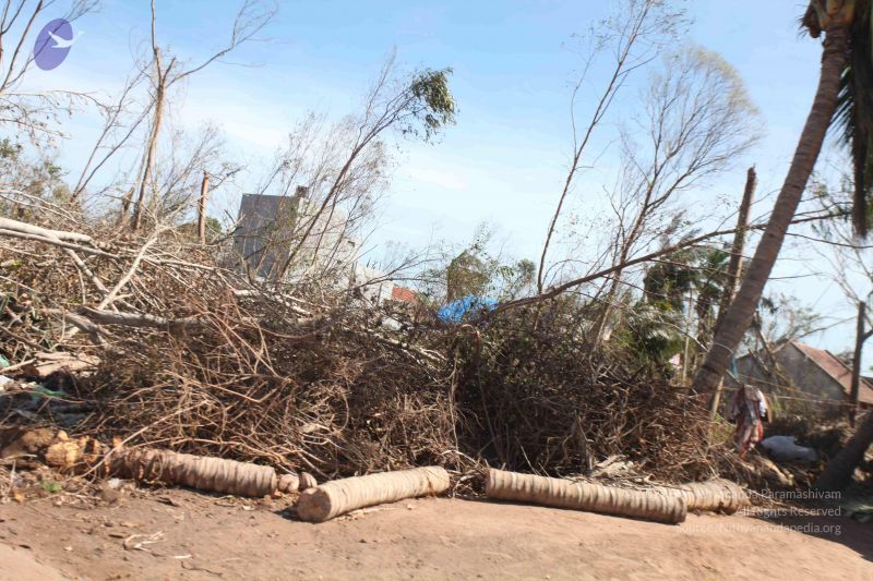 File:20120106 Photo 2716 1bqX6yFJ1HDrzCTEouv fjCTdfOq1XQ8-.JPG