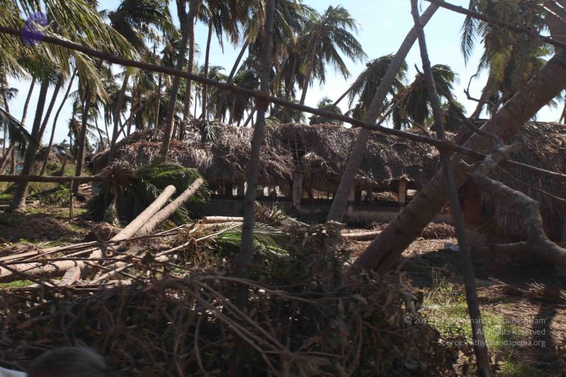 File:20120106 Photo 2719 1M0TO6uE38NRiIaWZGNzYF4IJhvKKi3Iy.JPG