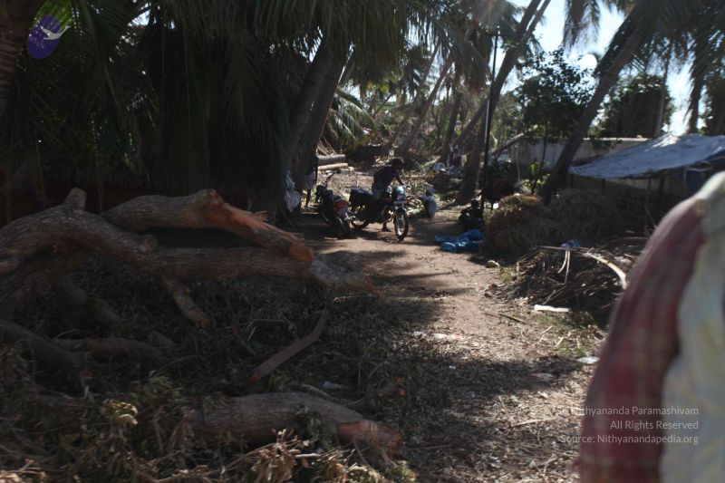 File:20120106 Photo 2720 1GUTeTO9nw1EYXcU5RVKVWinGPunqkB39.JPG