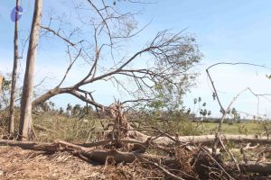 20120106 Photo 2729 1PTvsA0nQGE6FTgusqOUSTMJX8uaSjJZK.JPG