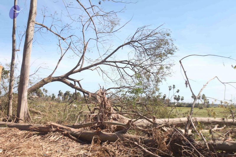 File:20120106 Photo 2729 1PTvsA0nQGE6FTgusqOUSTMJX8uaSjJZK.JPG