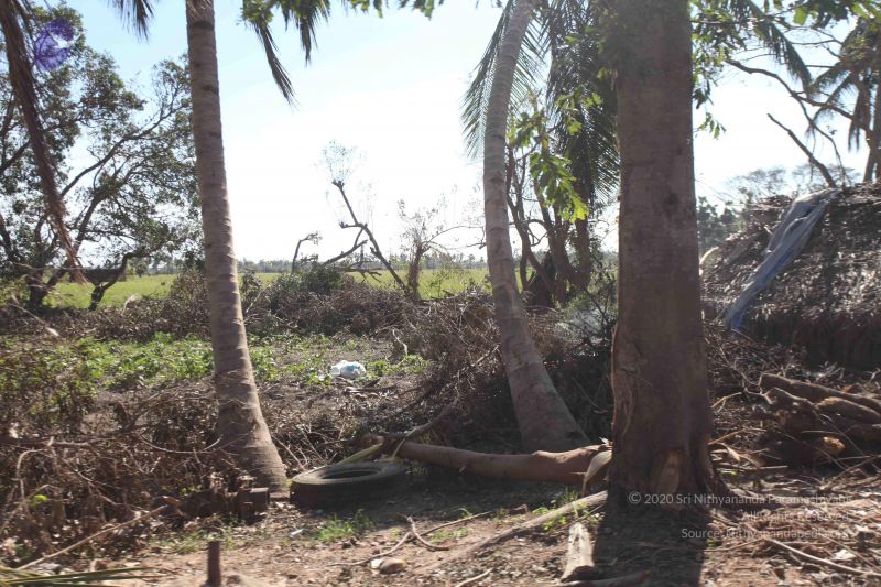 File:20120106 Photo 2732 1Yrh7V43H MQLfOGukTpnWYD7IifEOREU.JPG