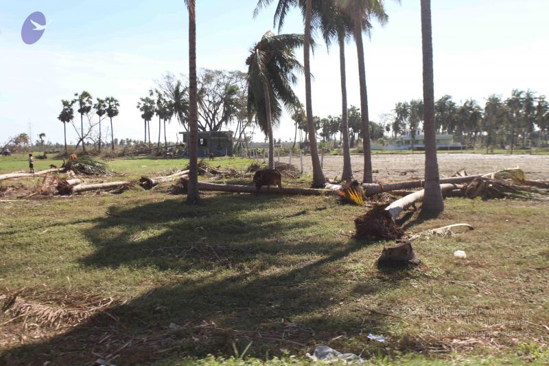 File:20120106 Photo 2733 1EOQoBRUNhoQbJtcCUYVkrTmsRrjM4NUC.JPG