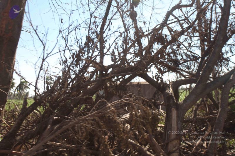 File:20120106 Photo 2734 15pdnjmk9-PxOwAuX aRGBBCuwEhWbxvq.JPG