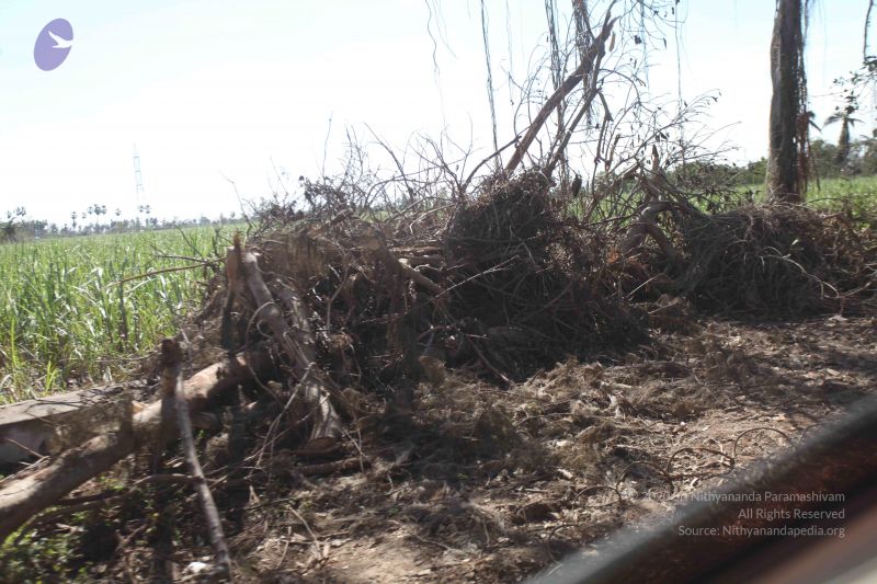 File:20120106 Photo 2735 1tjd264iJeIHNPcp2zCjPJj0gI5224qIA.JPG