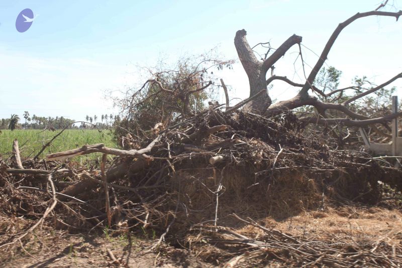 File:20120106 Photo 2736 1W-GEYqKziH1hLperkE9kBdPj qU4IN3s.JPG