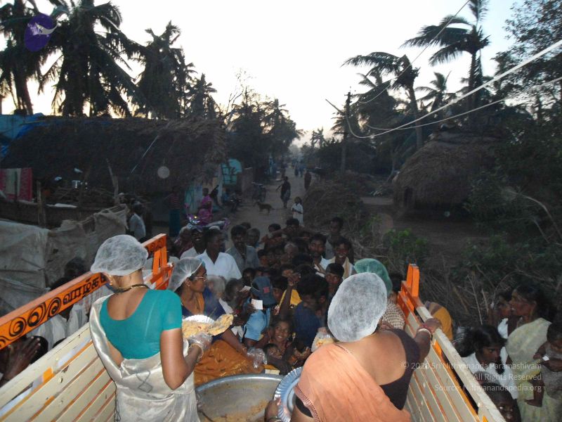 File:20120106 Photo 3012 1Y5XpLbaaj-cVlLnxEenSQNOQUEz2BuhZ.JPG