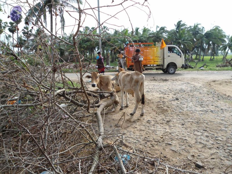 File:20120107 DSC00183 CMP WM-03001.jpg