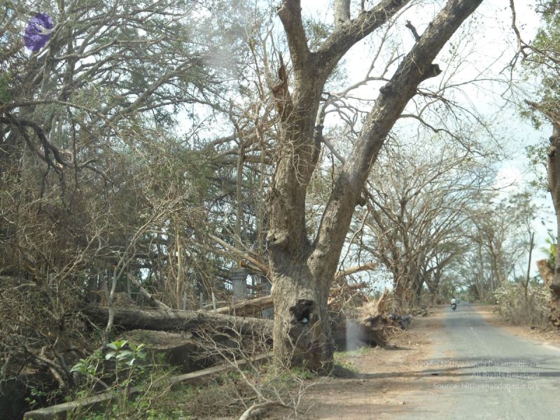 File:20120107 DSC00282 CMP WM-27001.jpg