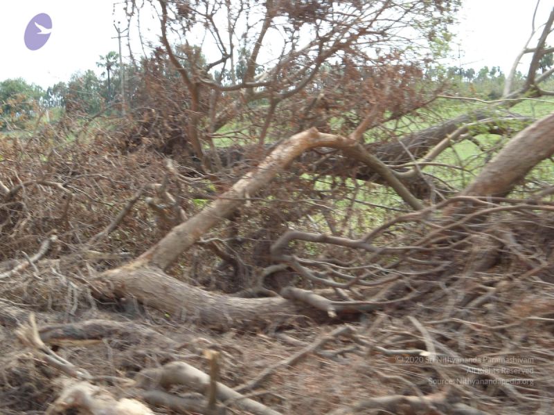 File:20120107 DSC00285 CMP WM-28001.jpg