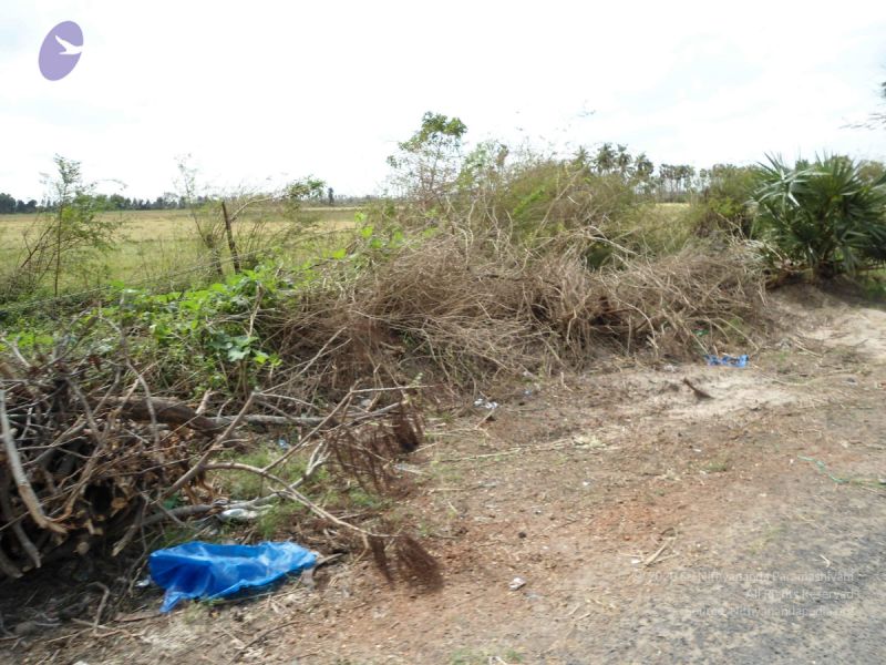 File:20120107 DSC00287 CMP WM-29001.jpg