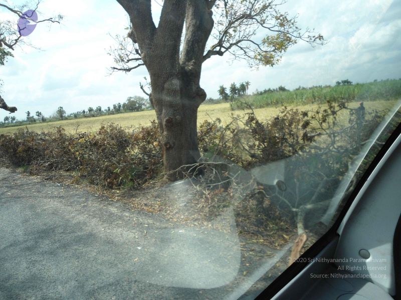 File:20120107 DSC00288 CMP WM-30001.jpg