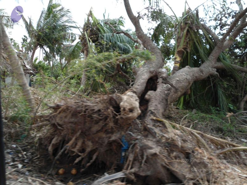 File:20120107 DSC00303 CMP WM-35001.jpg