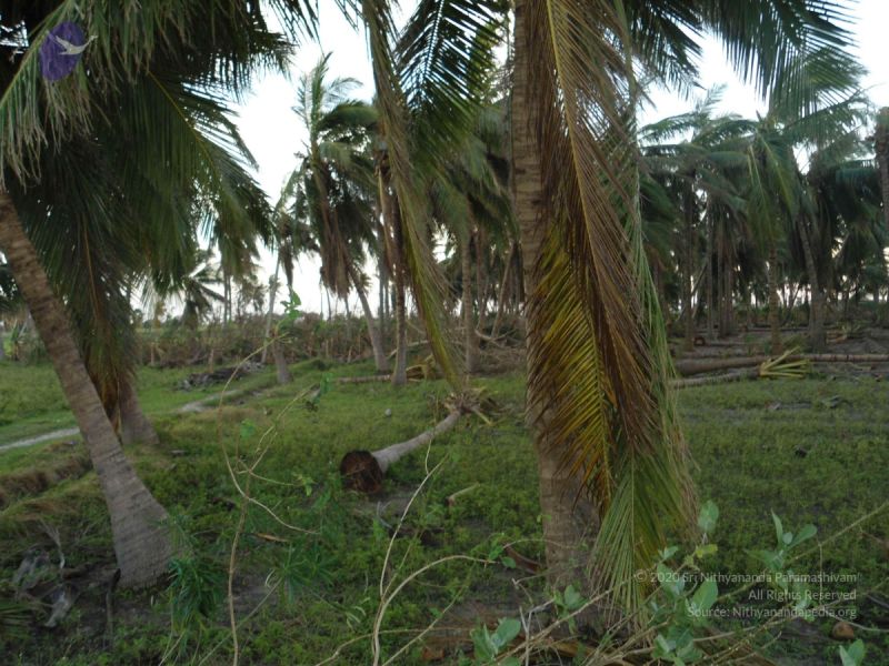 File:20120107 DSC00406 CMP WM-202001.jpg