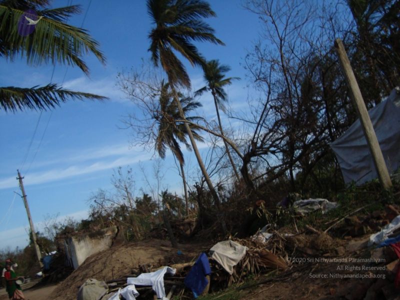 File:20120107 DSC02952 CMP WM-42001.jpg